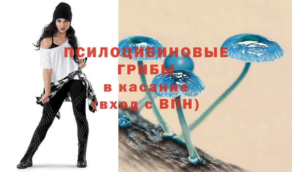 прущий лед Алзамай