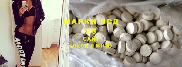 прущий лед Алзамай