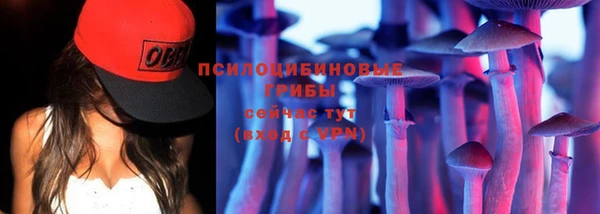 мяу мяу мука Алексеевка