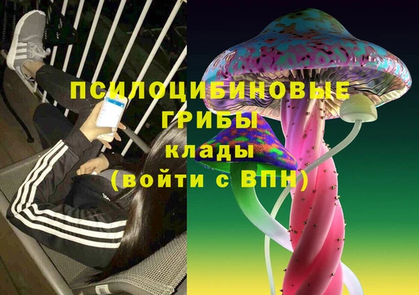 амф Алексин