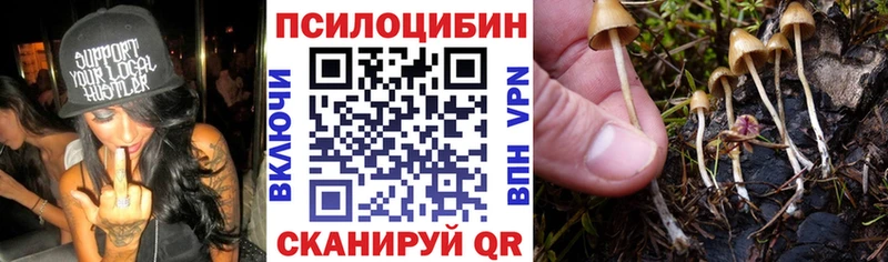 Псилоцибиновые грибы Cubensis  купить закладку  Талица 